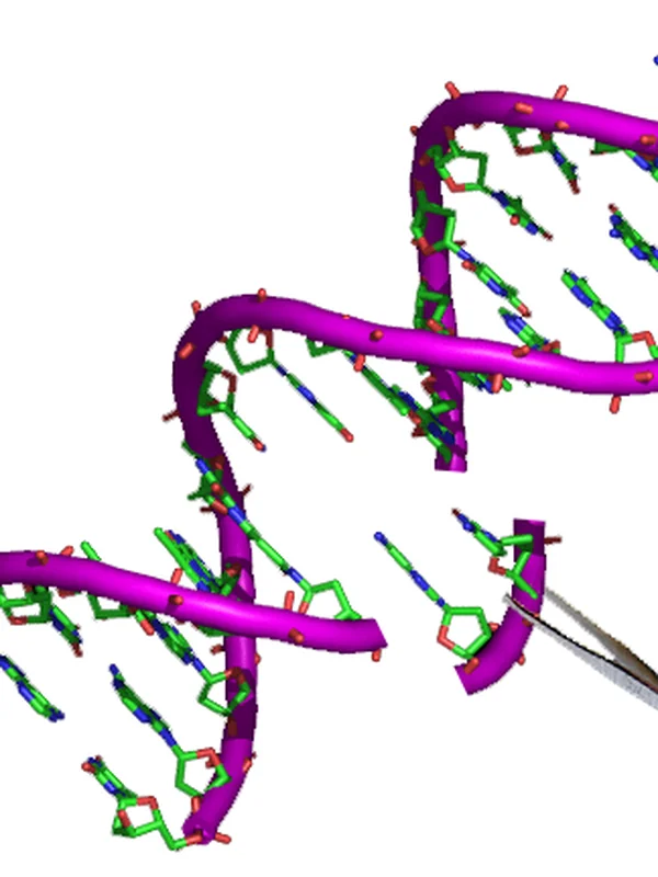 Genetic Engineering Tool (PCR)