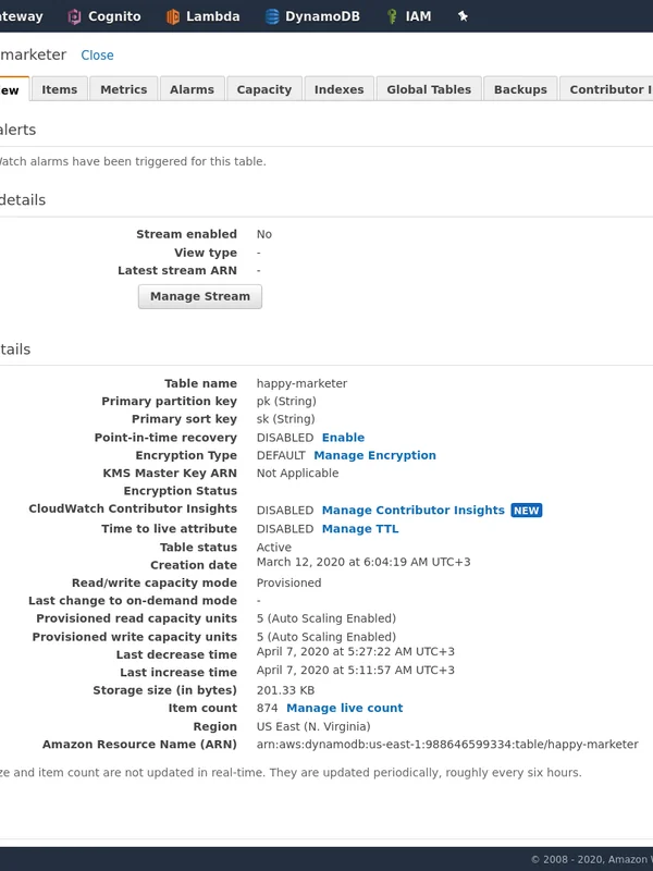 Cloud Infrastructure Services (AWS)