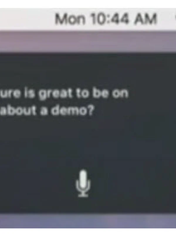 Voice Assistant (Siri)