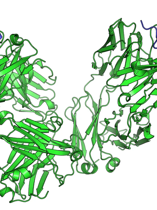 Medical Immunotherapy Advances
