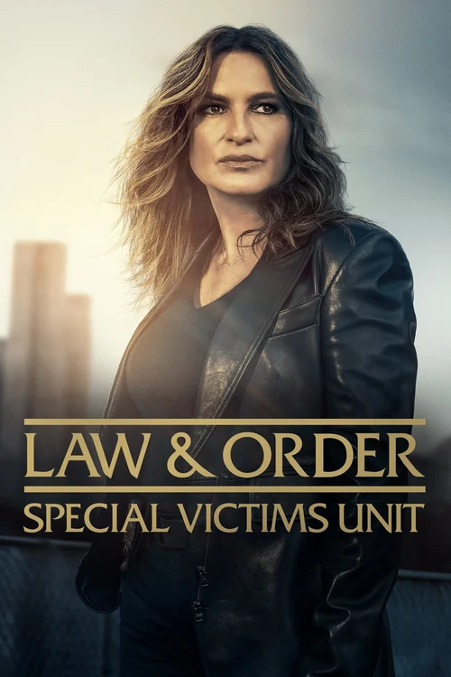 Law & Order: Special Victims Unit poster
